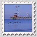 send a postcard from Naples Florida